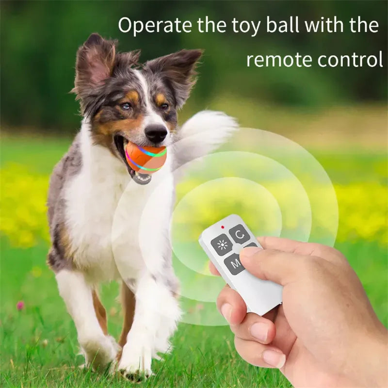 Smart Electric Dog Toy