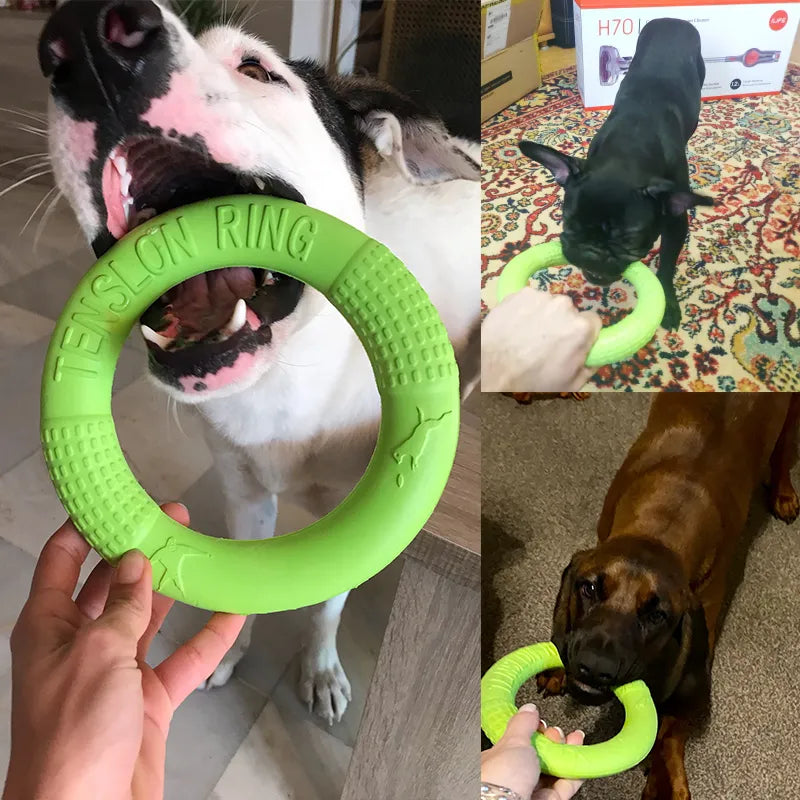 Flying Disk Chewing Toys