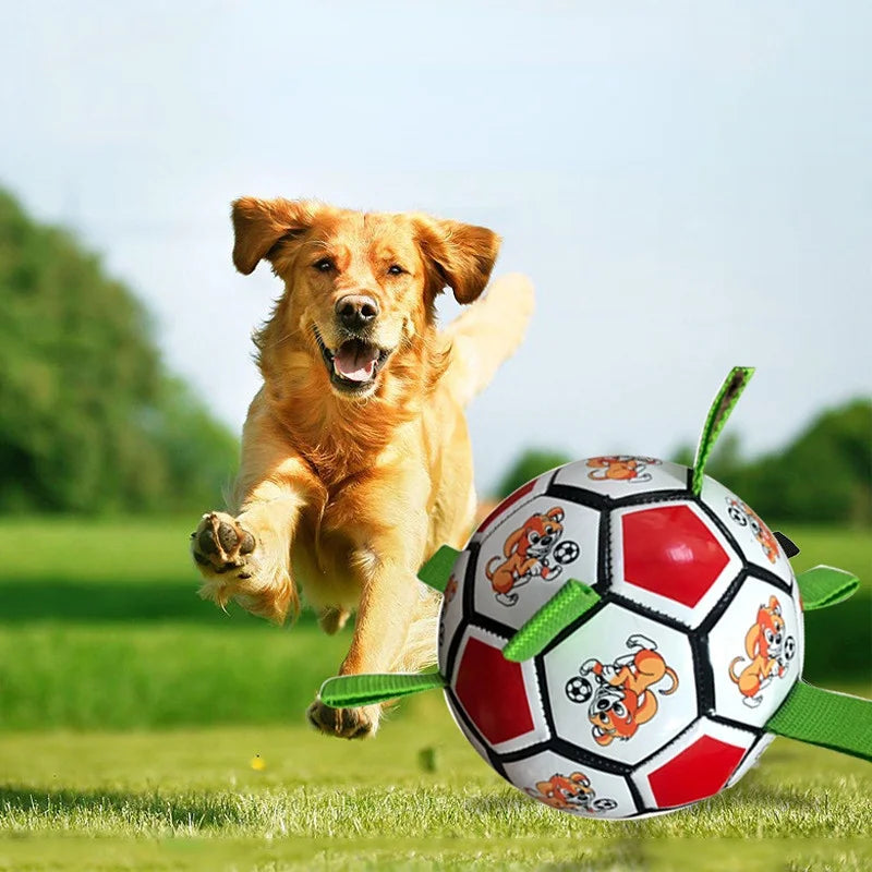 Dog Football Toys
