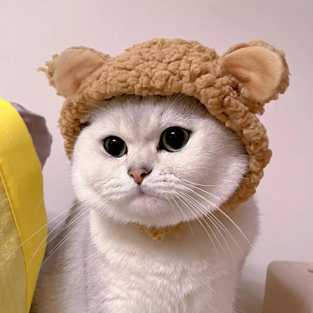 Cute Bear Shaped Hat